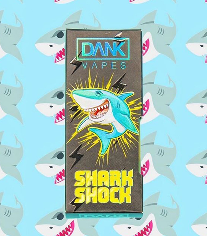 Shark Shock