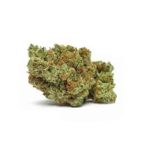 Bruce Banner