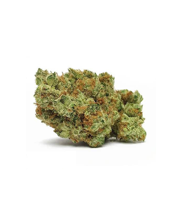 Bruce-Banner