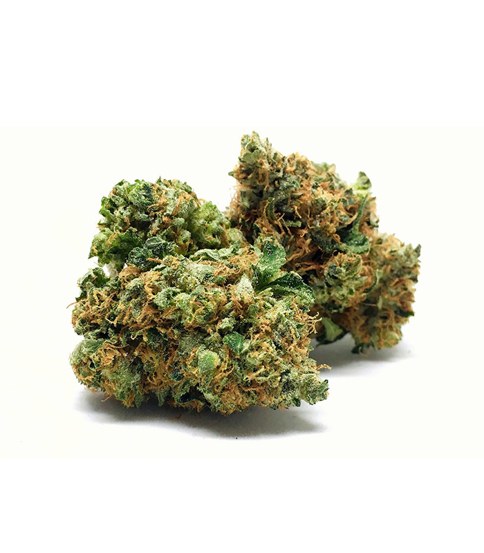 Orange-kush