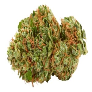 1Lbs Ak47