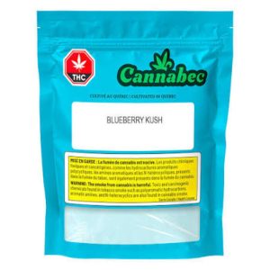 30grams Blueberry
