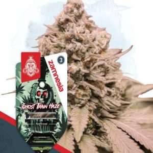 30grams OG ghost train haze