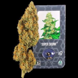 30grams Super Skunk