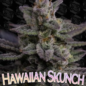4 oz Hawaii kunk