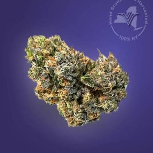 50grams Blueberry
