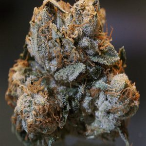 50grams Hindu Kush