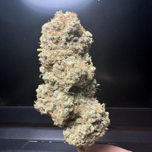 BISCOTTI MINTS