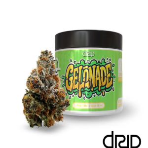 GELONADE