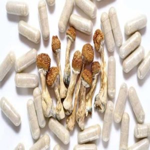 Shrooms
