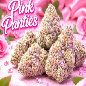 PINK PANTIES